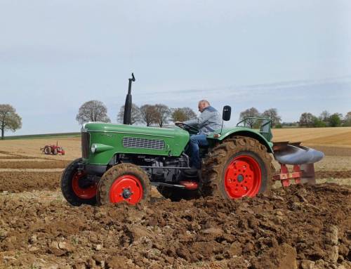 Voorjaarsploegen 2026