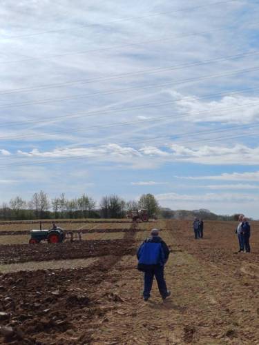 WhatsApp Image 2026-04-16 at 17.38.01